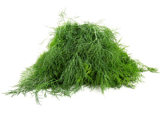 harvest of fresh dill isolated on white