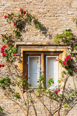 Fototapeta na wymiar mit Rosen umranktes Fenster eines alten Steincottages