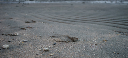 Rippled and footprints.