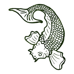 retro illustration japanese koi carp tattoo