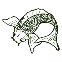 retro illustration japanese koi carp tattoo