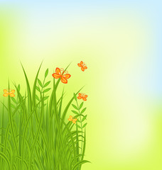 Fototapeta na wymiar Summer background with grass and butterfly