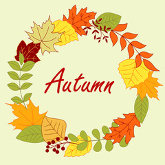 Colorful autumnal leaves frame or wreath
