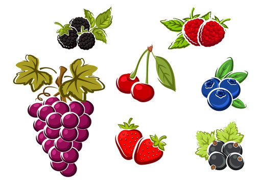 Sweet ripe isolated berries and fruits