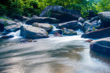 broad river flowing through wooded forest