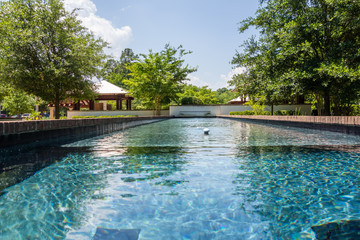 compass rose park in hilton head georgia