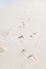 Footprints on the beach
