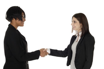 Two businesswomen shaking hands.