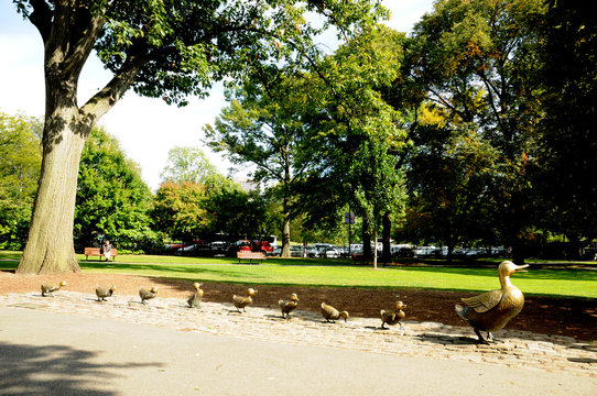 Boston Common