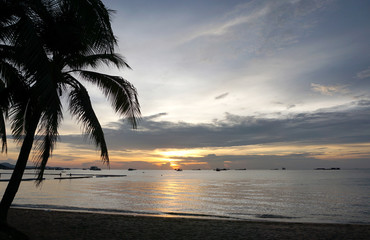 silhouette of the coconut tree with beautiful sunset background