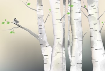 Forest illustration  and birds
