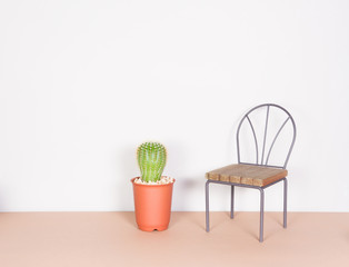 cactus and mini chair, minimalism style