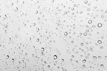rain drop on the windows