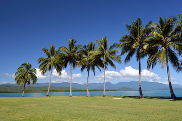 Port Douglas, the Great Barrier Reef,, Queensland, Australia -3