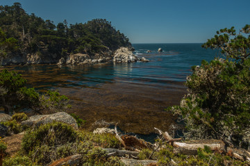 The Beautiful and ever Inspiring Point Lobos in Carmel, California