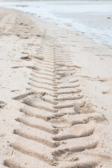 Tyre track in the sand
