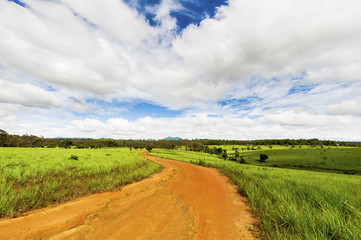 Fototapeta na wymiar Road of savanna Field in green season.
