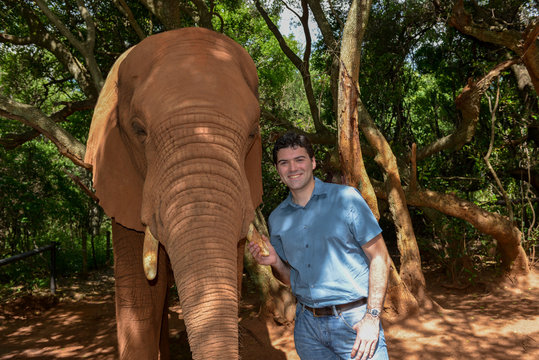 Elephant and Tourist