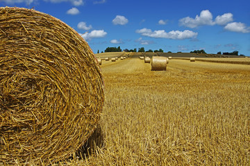 Moisson
