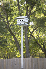 Bird House