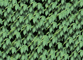 Seamless green leaves pattern