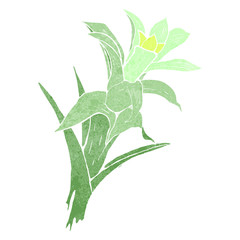 retro flower illustration