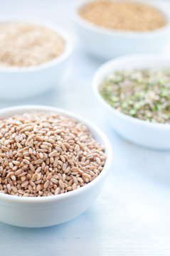 Cereal grains , barley , soybean , rice , millet , spelled