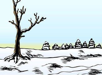 Colored winter snow landscape vector image