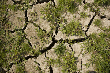 Global Warming - Dry Mud Surface