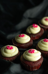 Red Velvet Cupcakes.
Sweet Red Velvet Cupcakes with floral design on top of cream. Isolated on a black background