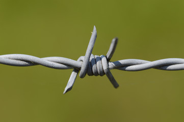 Stacheldraht vier Zacken vor gr&uuml;ner Wiese
