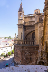 Naklejka premium Details of the facade of the cathedral of Santa Maria La Giralda