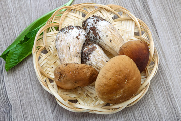 Wild Mushrooms