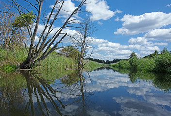 Poland.Brda river in summer.Horizontal view