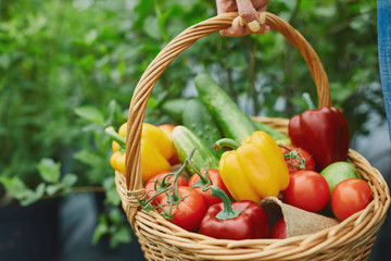 Basket full of vegetables