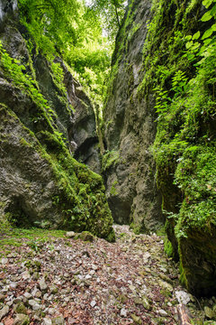 A beautiful view of a narrow wild canyon