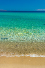 beautiful beach and tropical sea