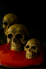 Skull and blood