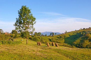 Fantastic landscape with tree and sheaves of hay on a background