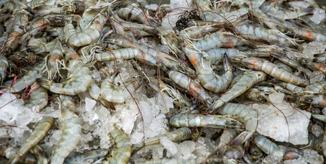 Preserved prawns with ice