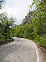 Fototapeta na wymiar asphalt road in Crimea