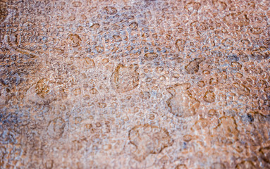 Regentropfen Textur