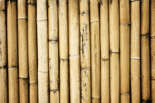 Vintage bamboo background