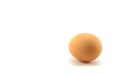 eggs isolated background