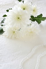 Fototapeta na wymiar 白色の菊と数珠　白背景