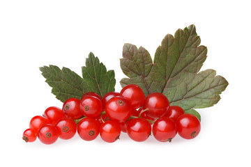 Red currant bunch