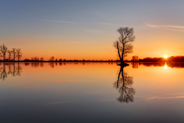 Fototapeta na wymiar Silhouette tree at sunset in lake
