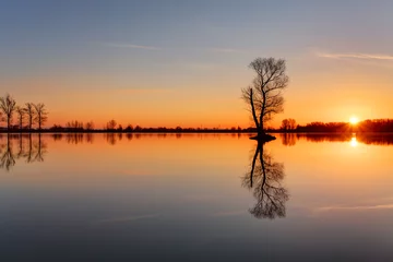 Deurstickers Silhouetboom bij zonsondergang in meer © TTstudio
