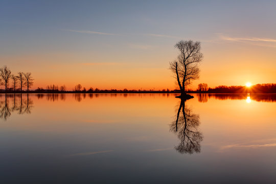 Silhouette tree at sunset in lake