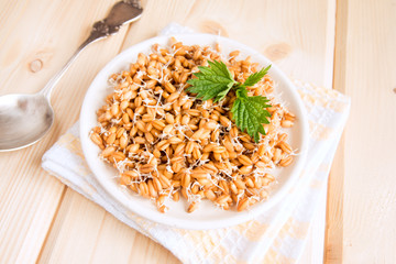 Sprouted wheat seeds